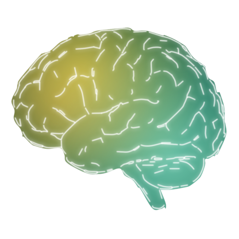Calm brain state