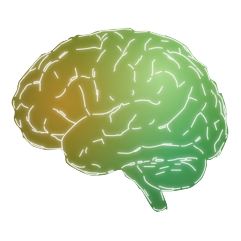 Curious brain state