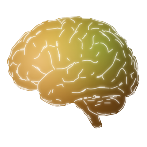 Focused brain state