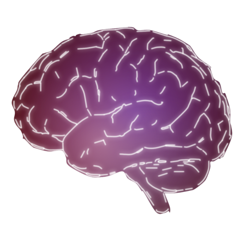Guilt brain state