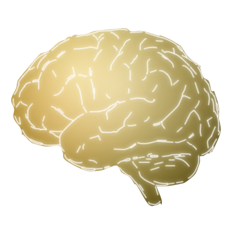 Motivated brain state